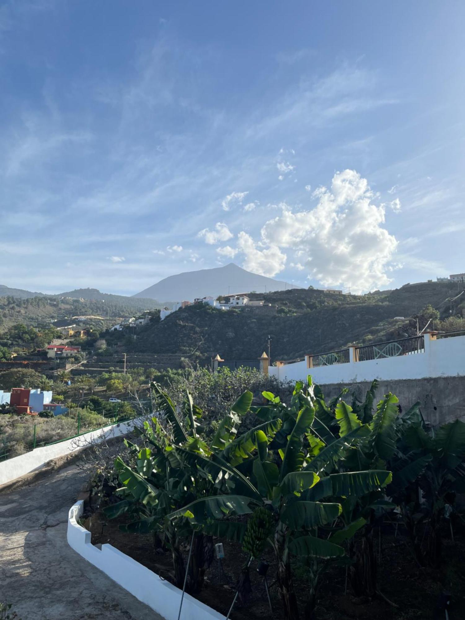 Chicho'S Home La Guancha Dış mekan fotoğraf